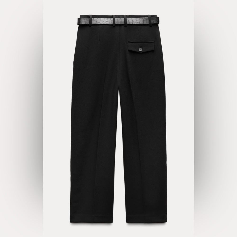 Zara Belted Pleated Pants - Picture 6 of 7